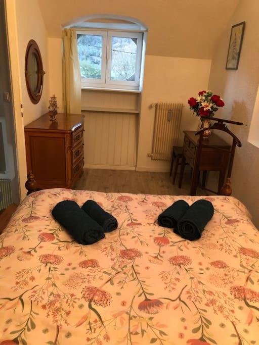 Appartement Rdc Dans Jolie Parc Arbore Beure Extérieur photo
